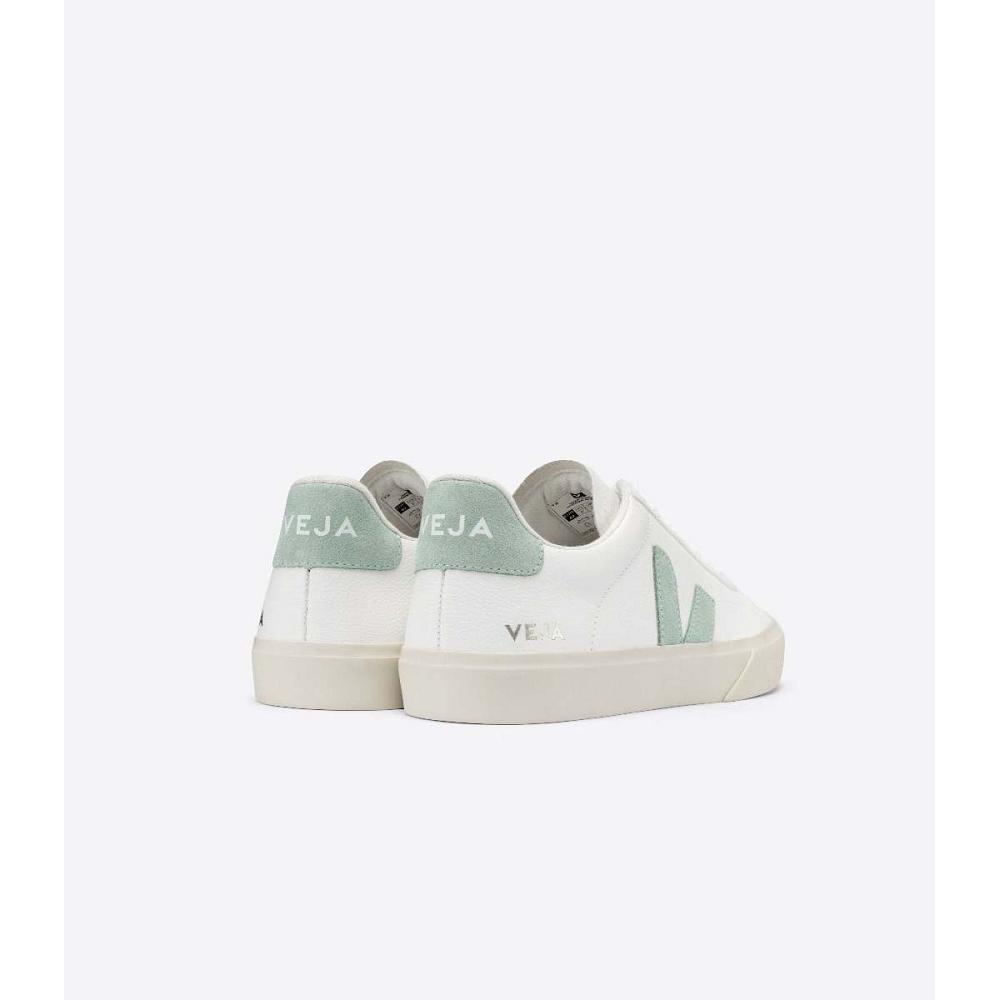 Low Tops Sneakers Barbati Veja CAMPO CHROMEFREE White/Mint | RO 295RVD